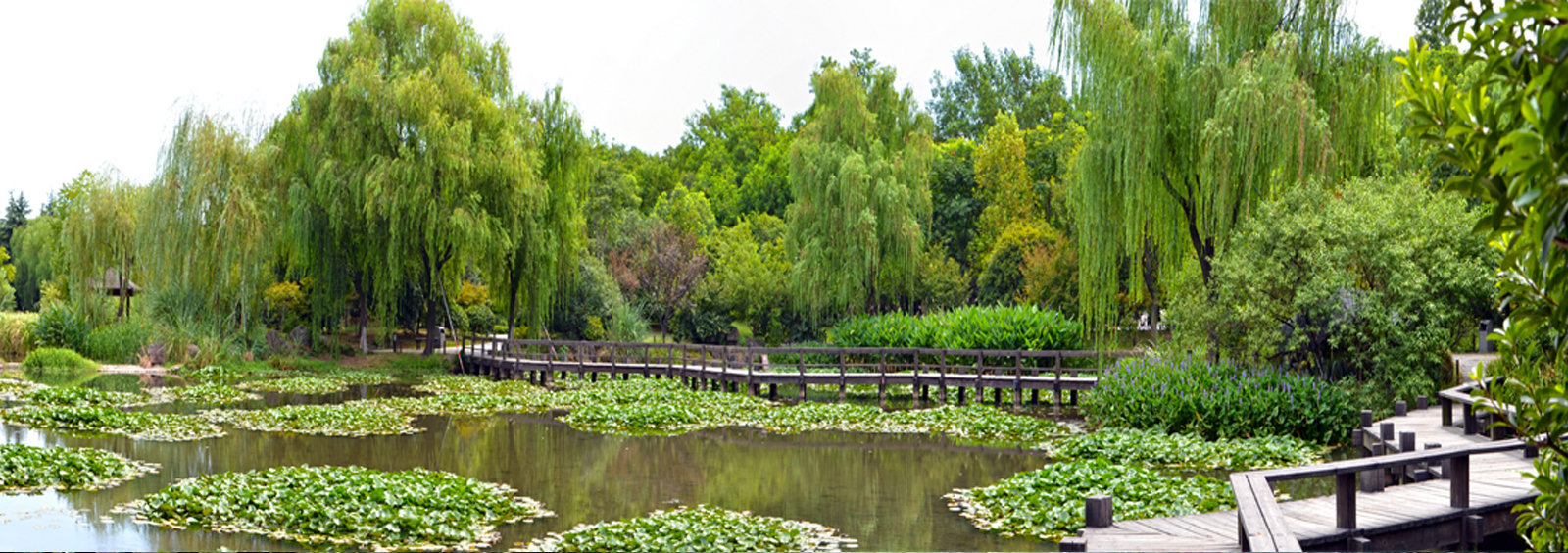 url(http://m.espcsv.com/theme/TP000163/pic/banner4.jpg)